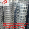 high tensile strength geogrid( best quality , low price , exporter & manufacturer , factory )